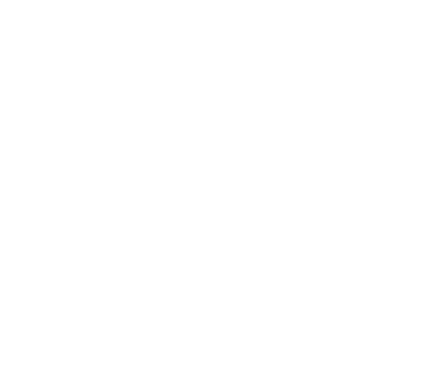 .0 Punt Zero